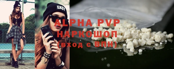 шишки Абаза