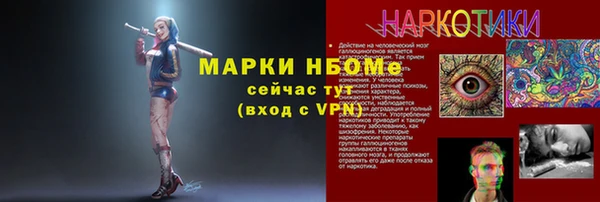 шишки Абаза