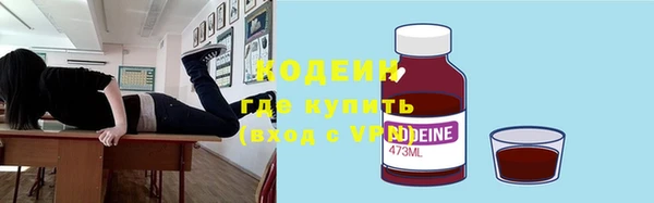 шишки Абаза