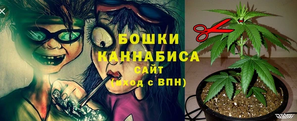 шишки Абаза