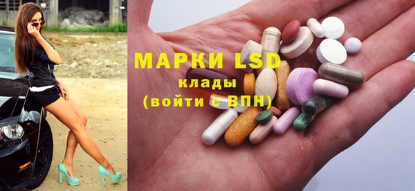 шишки Абаза