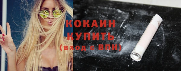 шишки Абаза