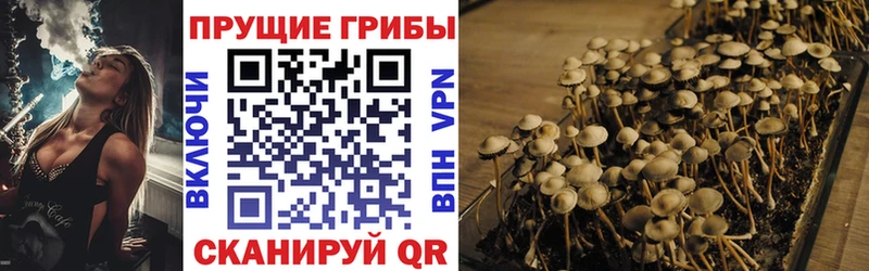 купить наркоту  Отрадное  Псилоцибиновые грибы Magic Shrooms 