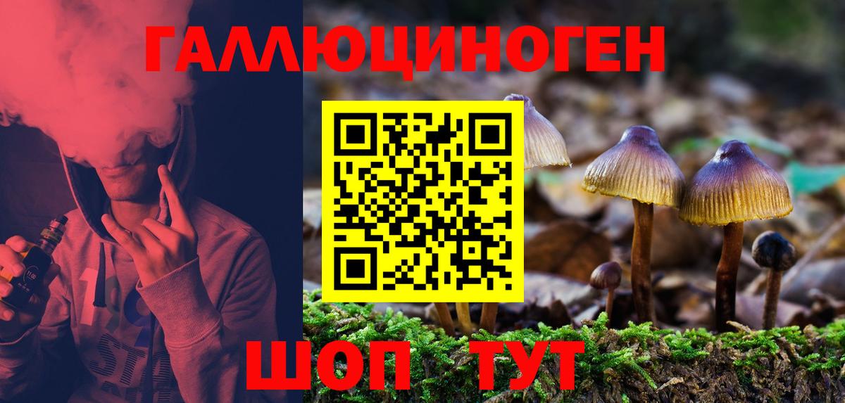 Псилоцибиновые грибы Cubensis Отрадное