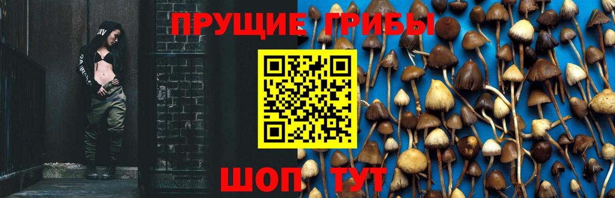 Псилоцибиновые грибы мухоморы  Вход с VPN  Отрадное 